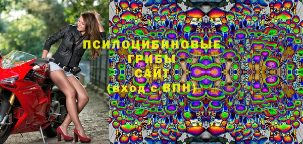 дмт Нязепетровск